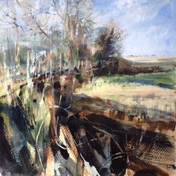 Boundary Hedge, giclée print 40x40cm