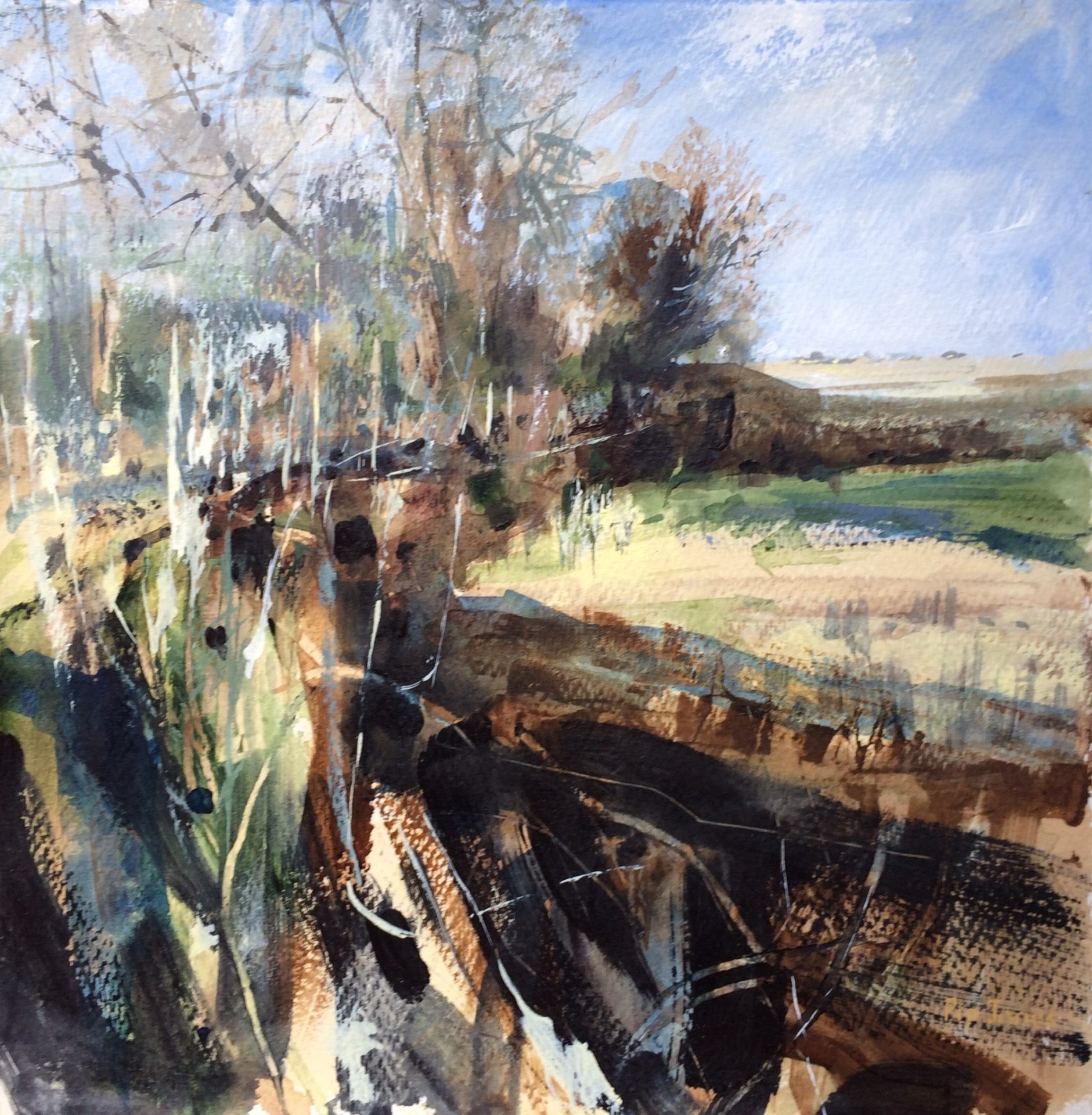 Boundary Hedge, giclée print 40x40cm