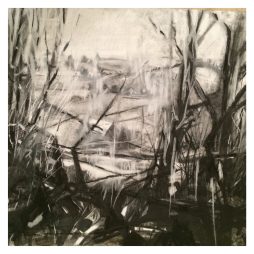 Nescliffe, charcoal