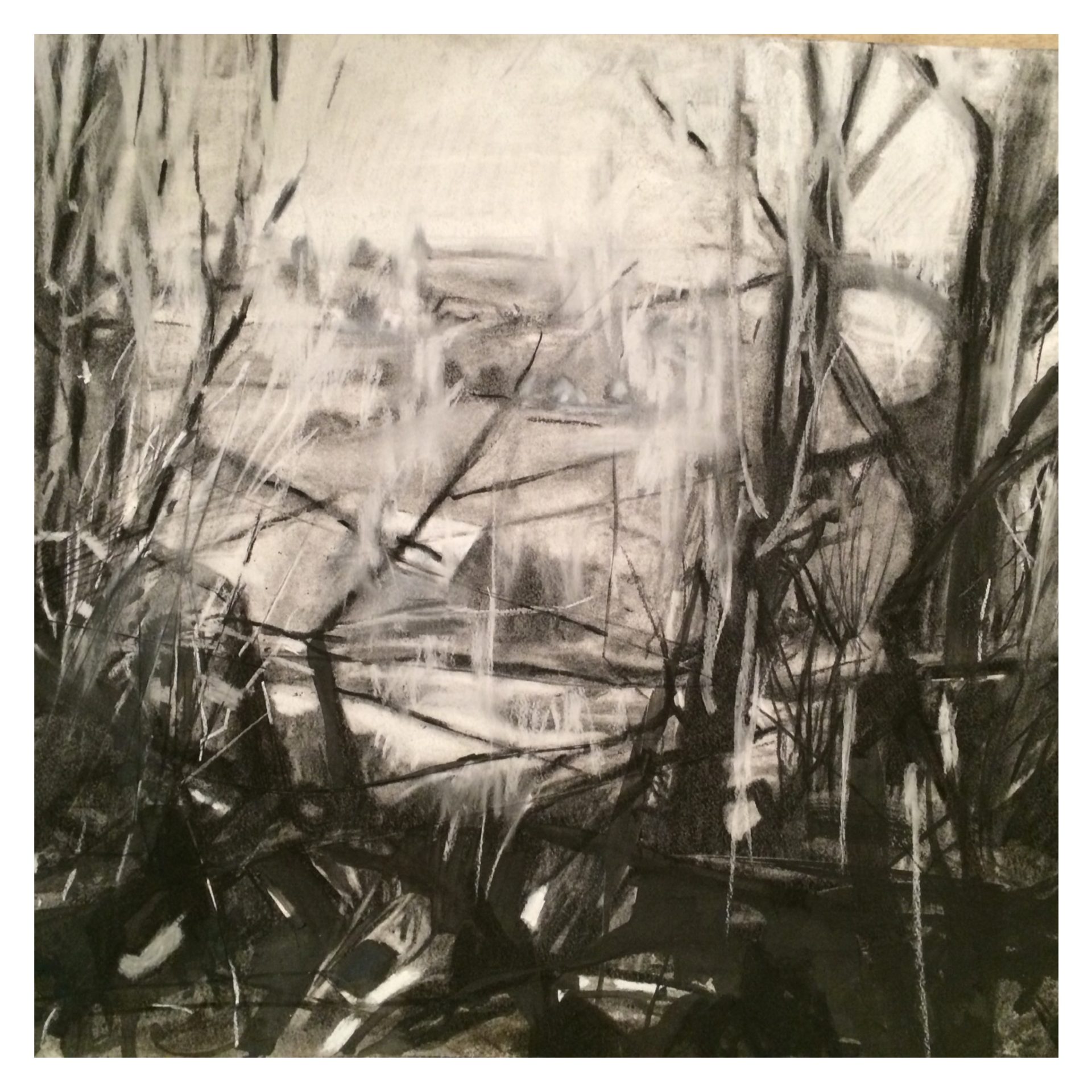 Nescliffe, charcoal
