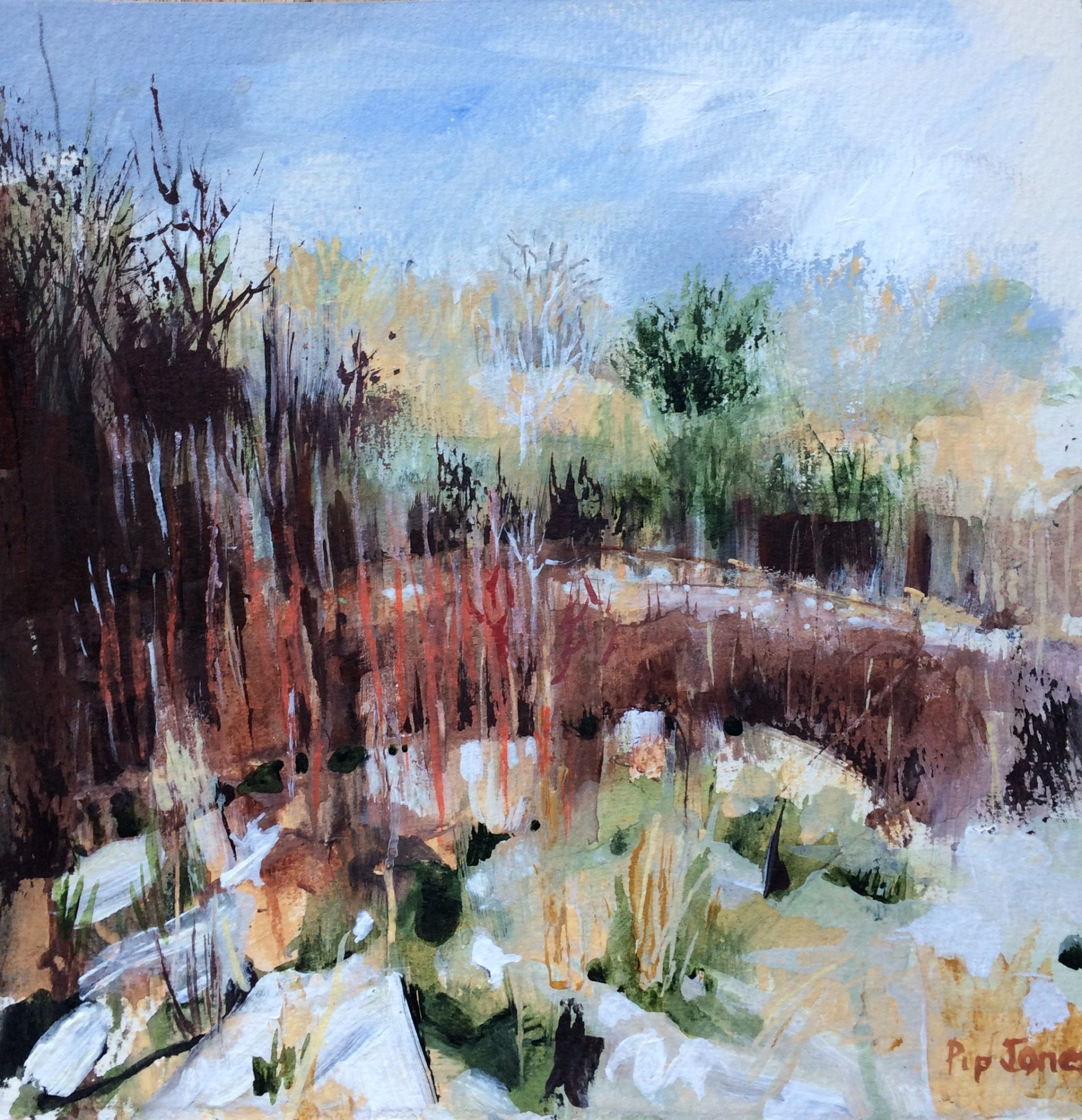 Quickthorn, giclée print, 30x30cm