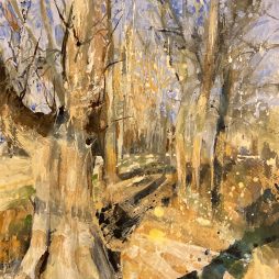 Through the Avenue, watercolour