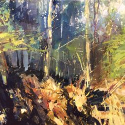 Forest of Dean, Pip Jones