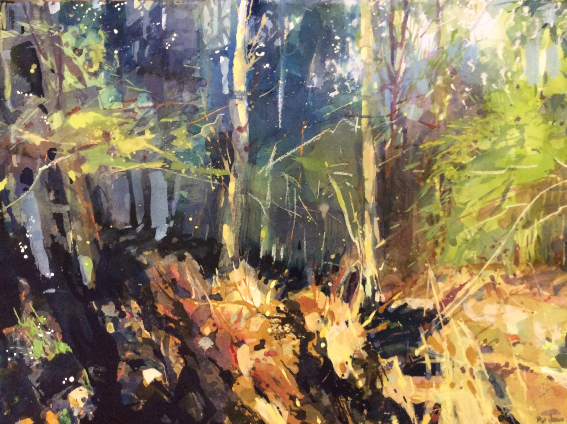 Forest of Dean, Pip Jones